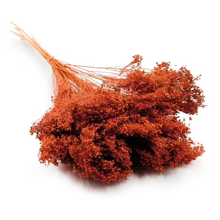 6e81259713436a5a665160b63d79bdd3