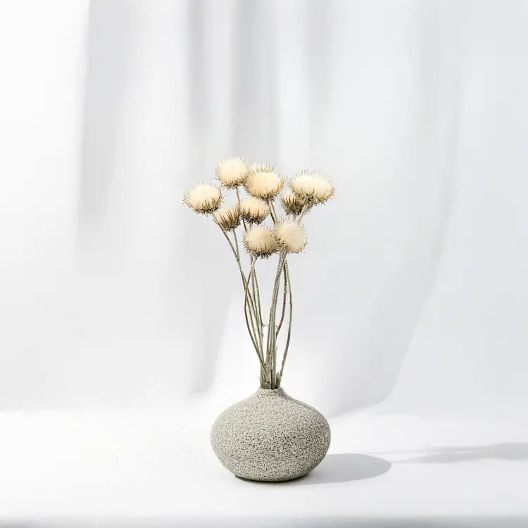 2a2fc3ab7acfec5cb3aa34f9948c55f0