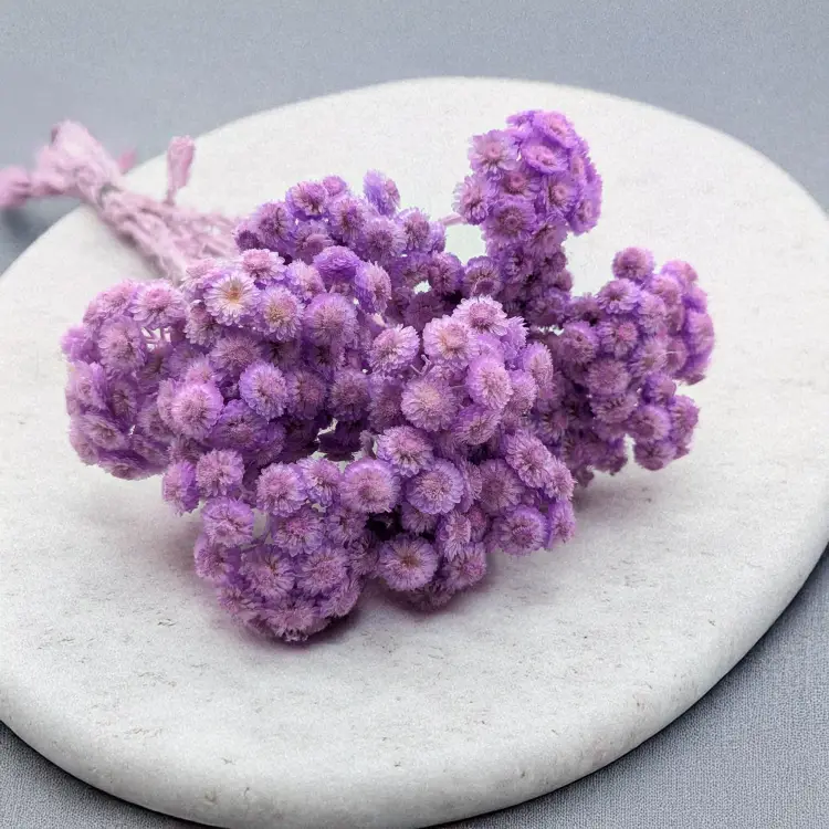 7a0da605fe43e830c84fa836840489ba