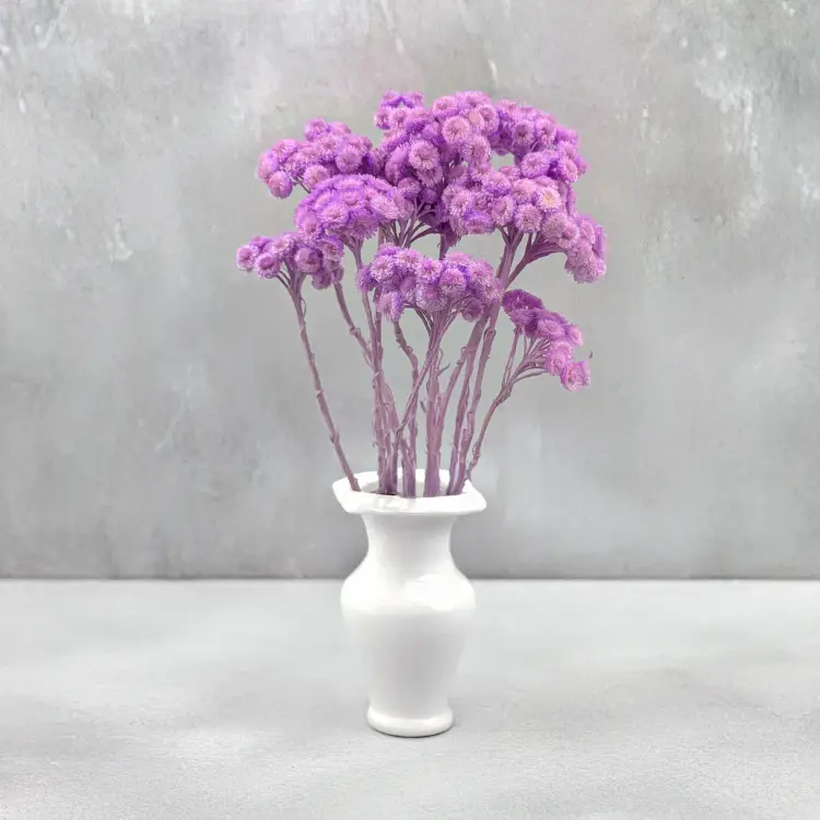 677b0df5fd64fd77ef1914b9f6cec01d