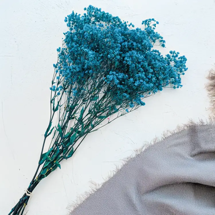 14a07cc5ba65a8c868c7270f84f05869