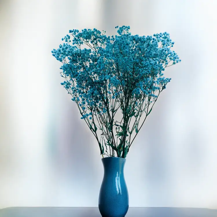 22e309b21a7d49224bbffc7f8f9f2f17