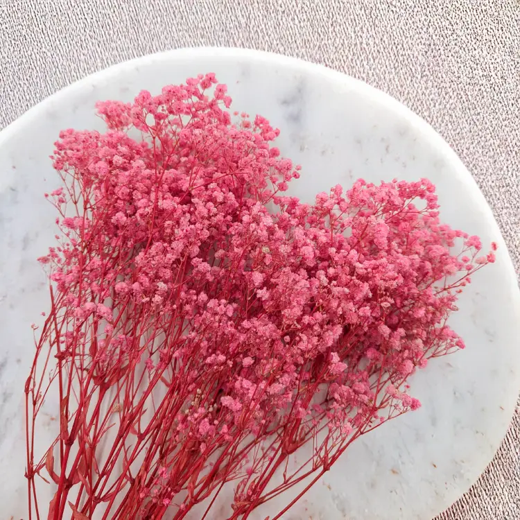 ed3eee624d2a0a45271843f352107ee8