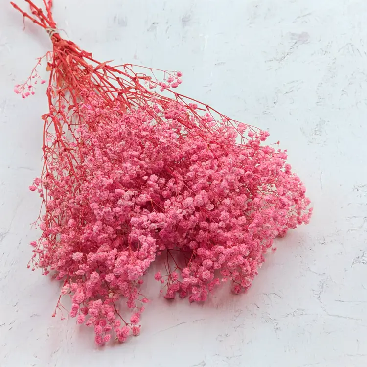 9aaaa5f3f12112b276c0af5fc97a2f22