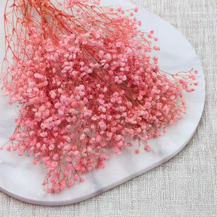 d9231f11397442fdecac952ce504868e