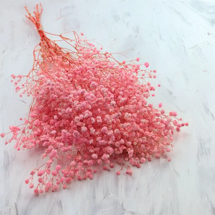 2f29567da65b3191717b62d0bfff4d53