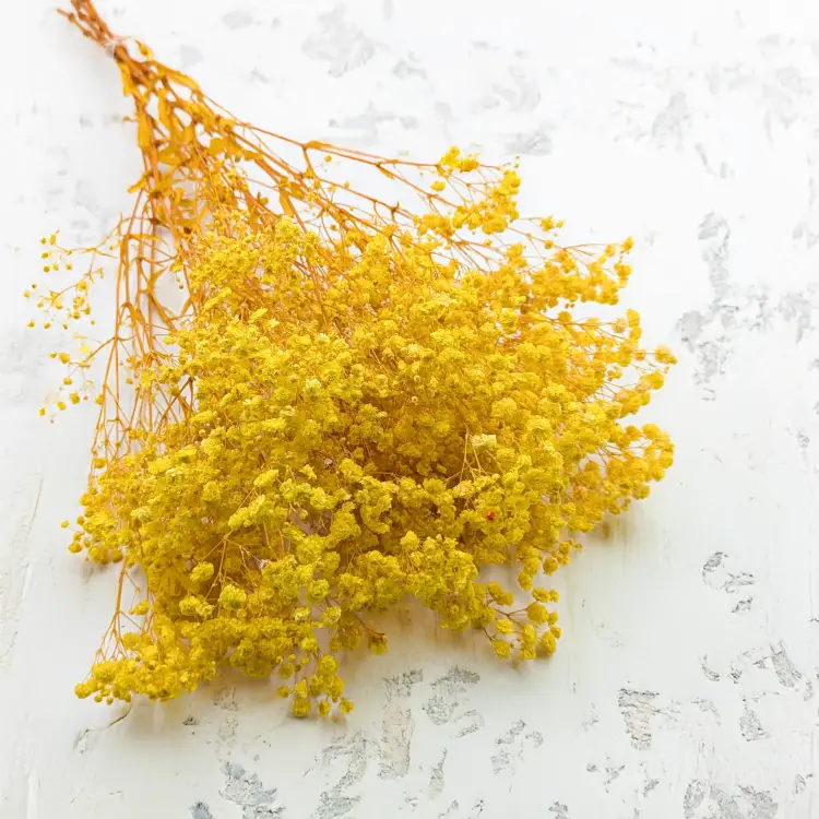 5c9f7411b19760a93a0b994bccd1f2f1