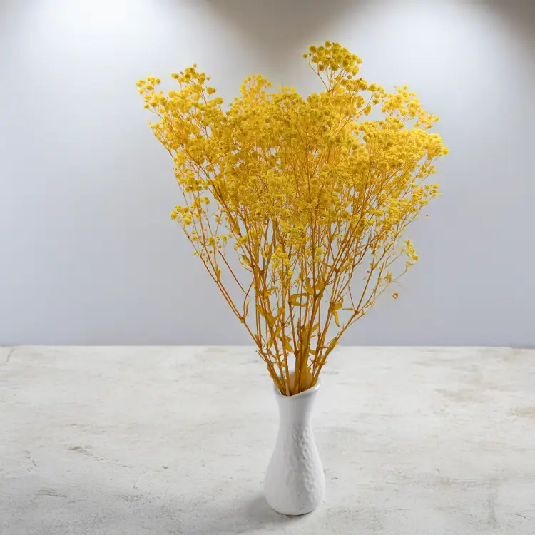 46a1c0aa4caf50cd3210a850acbbfb5f