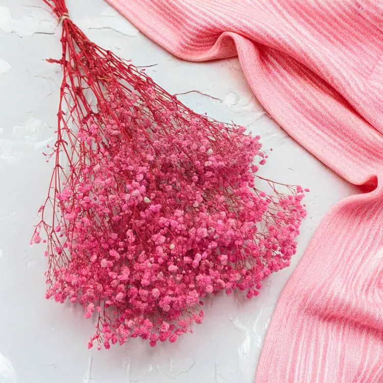 2af0e935e4da32329846b6d5e0b0be74