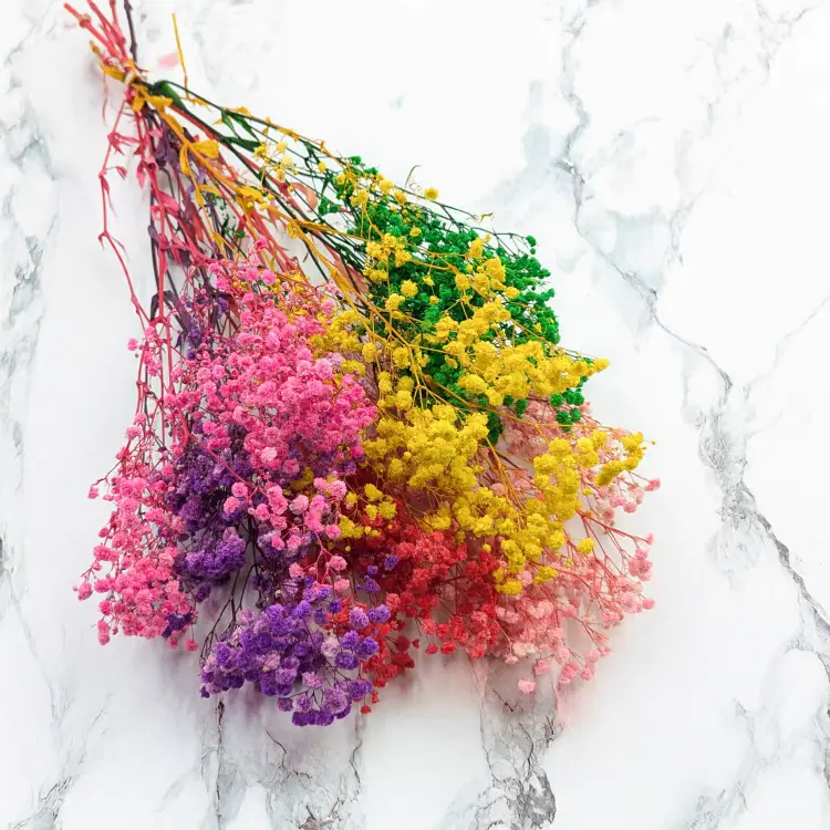 bc752433a8925258617c5c5ef7c31fe4