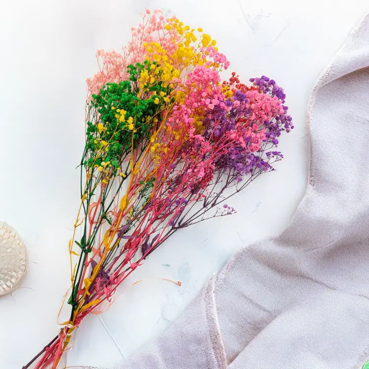 438d23bc4f16ec2158a22a3e5b031a38