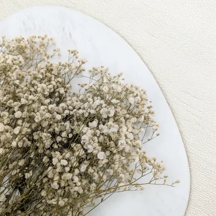 e361ad9ef7c3f055a2b6e83039cf2e6d