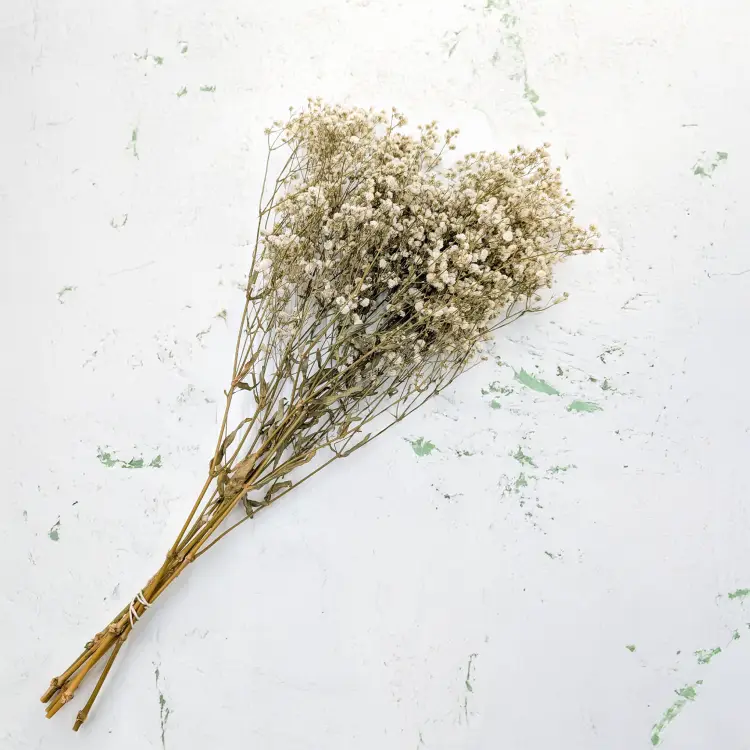 882687d0251d4ff43adbd466d8181125