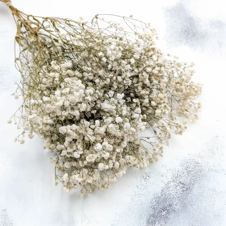 53f5b4bd27a8f5e934d8d6112cc5ef89