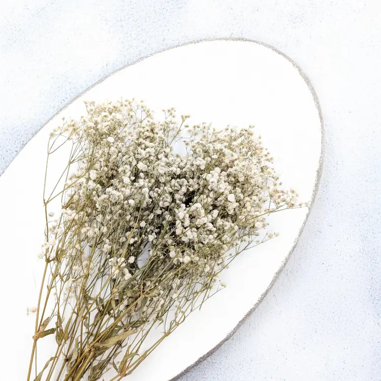 89277c769c888021b82559f2ce0c9101