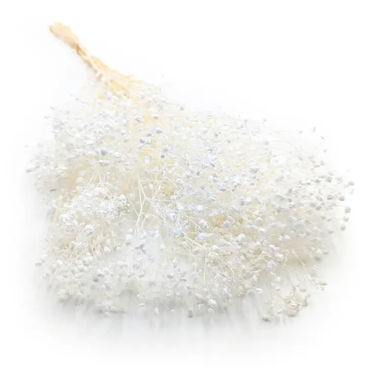 f7158f01ae4e03051fe55afba8b79b6e