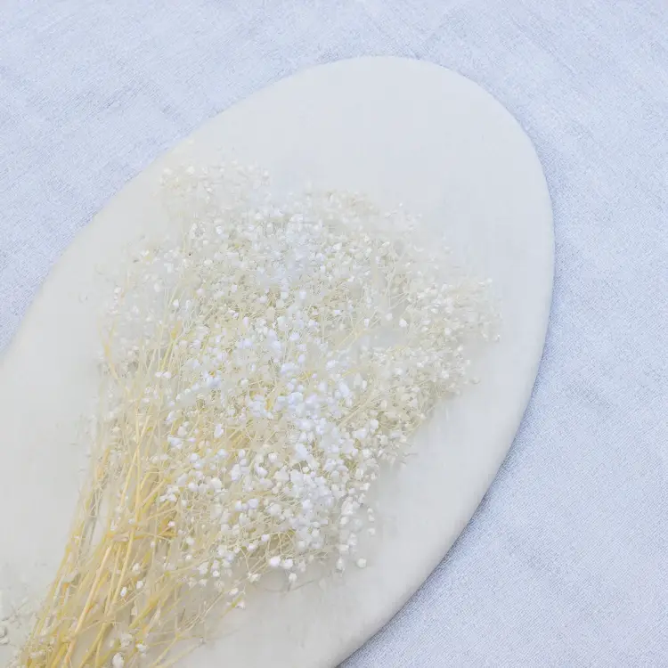 7bca95ba5d37e2ee56acfd53af8e8173