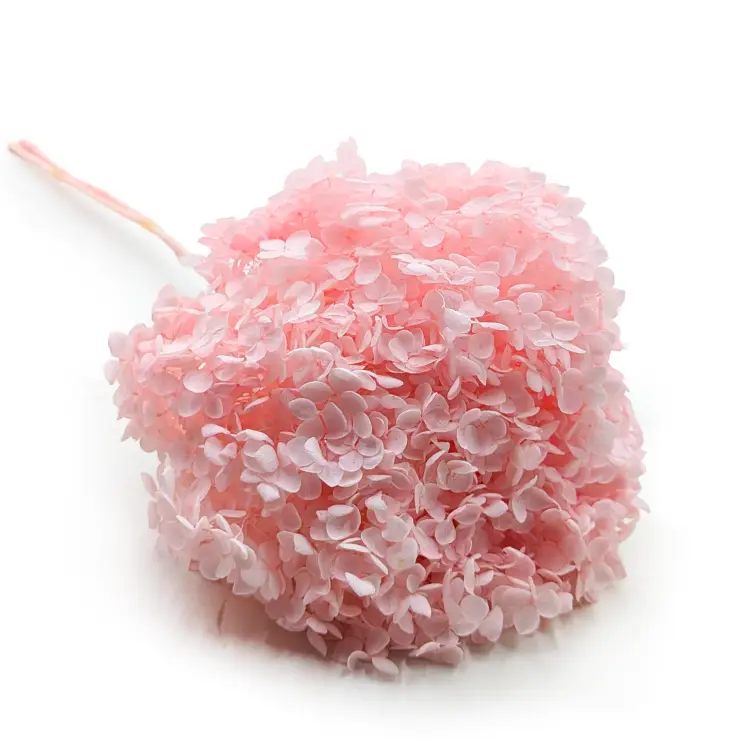 b698aa14075267a642c53f932e87aebf