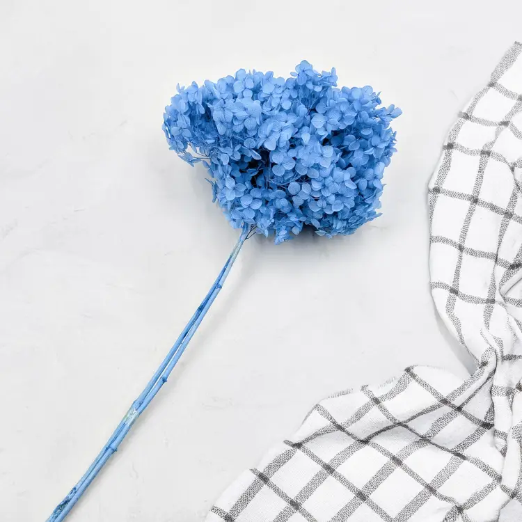 a4aa7b6637481266ef2d6e8c921322a6