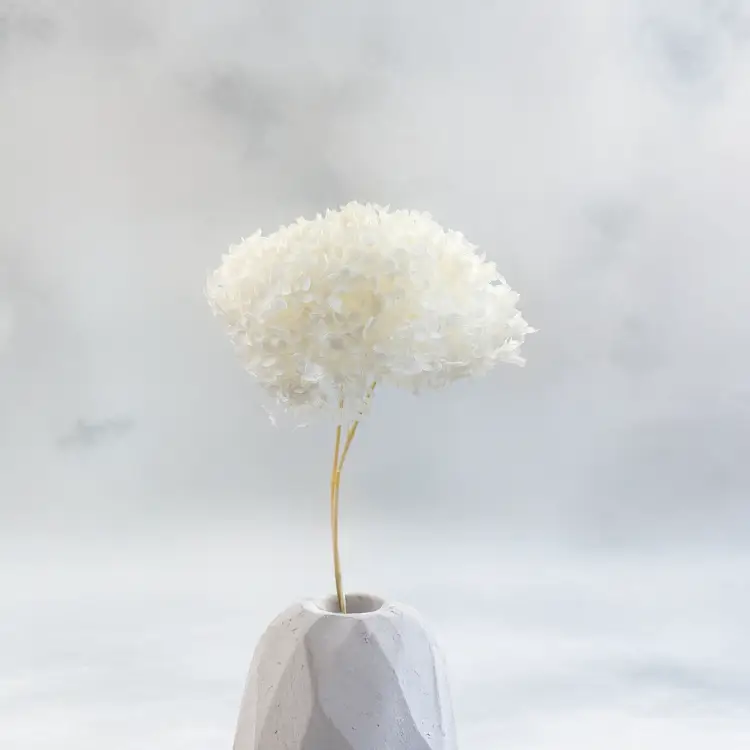 6cdf90cefed24d8d53c31ab052ae76d8