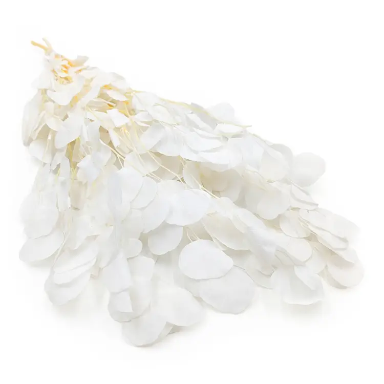 53c2eec91b6b92ff39cbae085d4dbe99