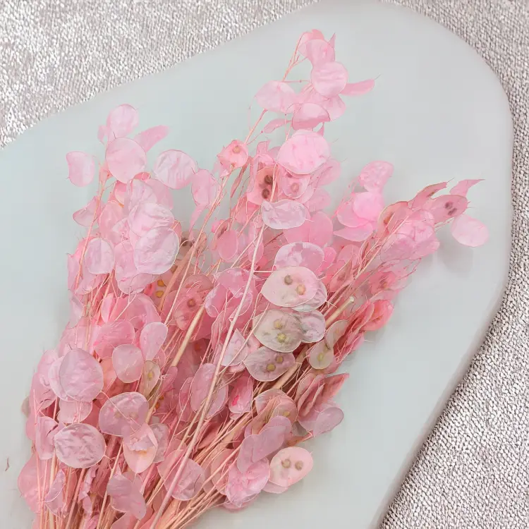 c6ef92c3d5685fb077385e38c3bf5e15