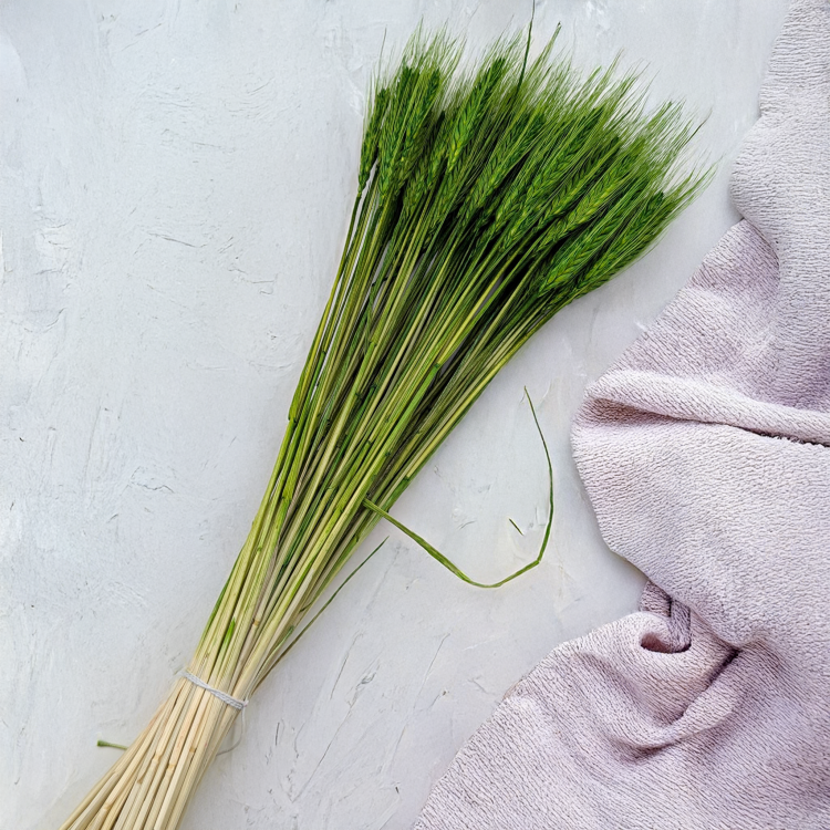 6287fa17e32075193449950ecb1c0d07