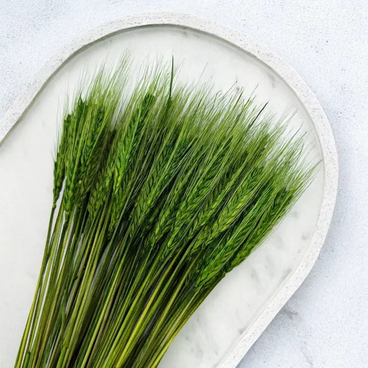 19f44289a14cff4d9b0c5ada9a779a41