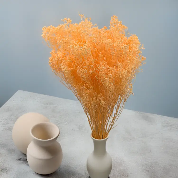 d2bd7fc8dcdbc8c88ca361084e97ef8e