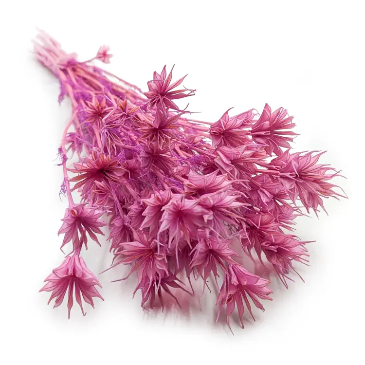 9795fd006a8447bd6db0db4bac4e1593