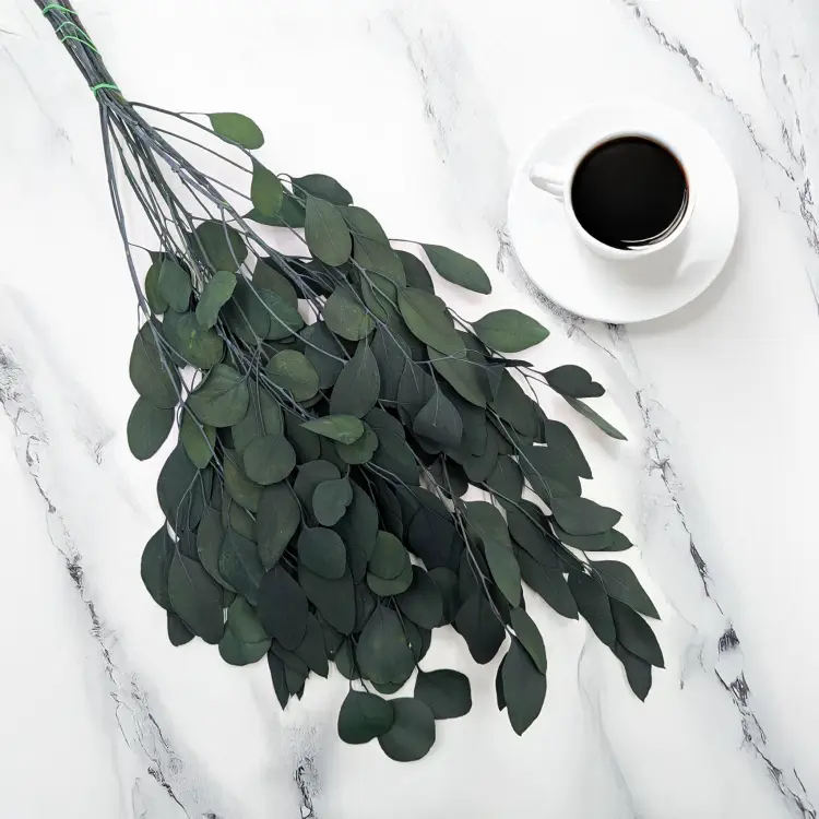 fdfaa3e25fc720dcd8543775bc4318a2