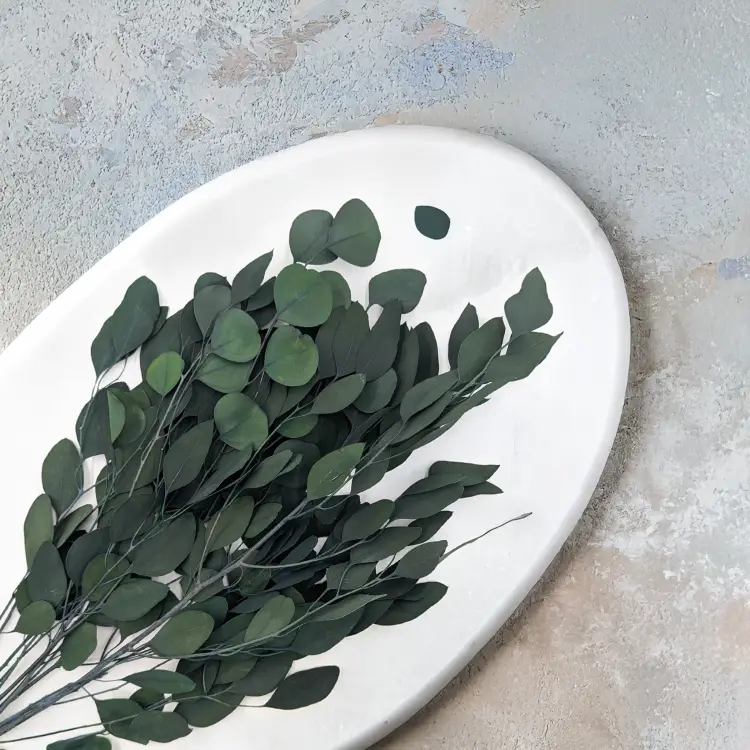 d4352ee808f7b46f82d68d0166cca995