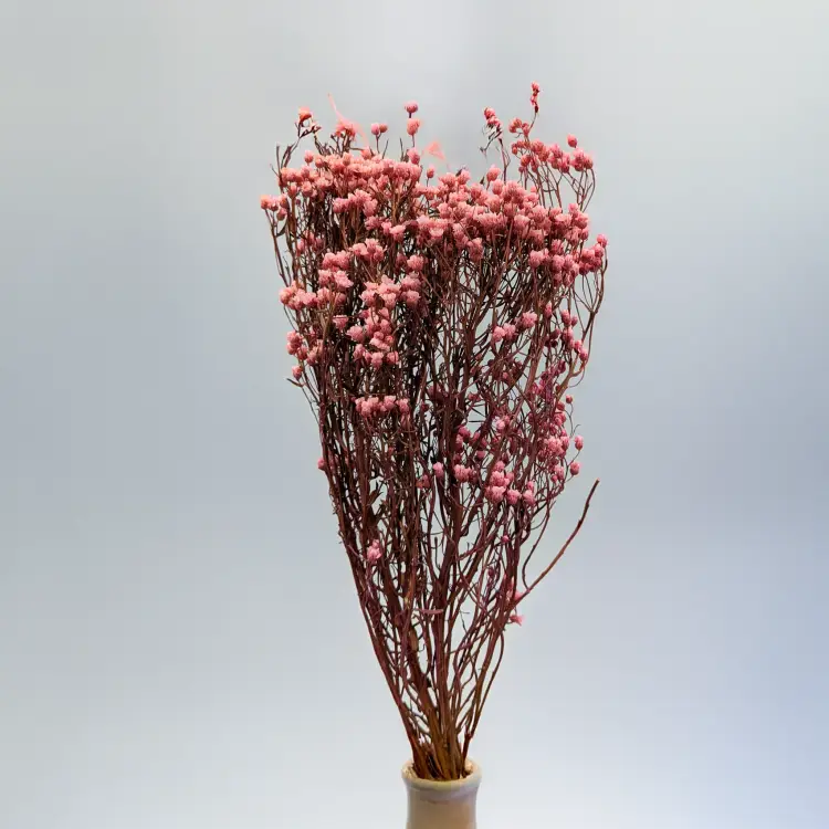 905c1f4179011881636db787ca8a00aa