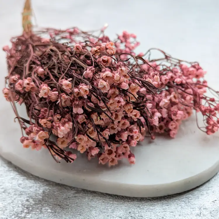 da86c595a9f8224d70898bdb414fd934