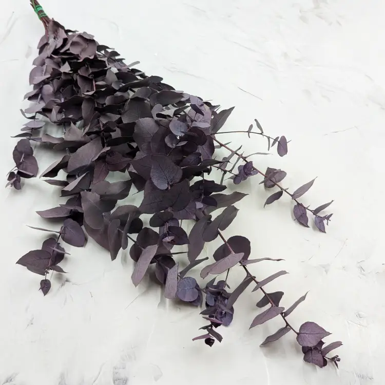 c702480f1d11b7fc0219a6e3d99bd5d5