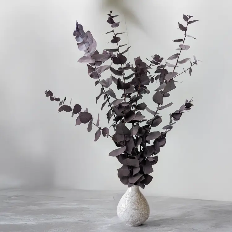 9d7181745c7e1163fb71a1ad0759835d