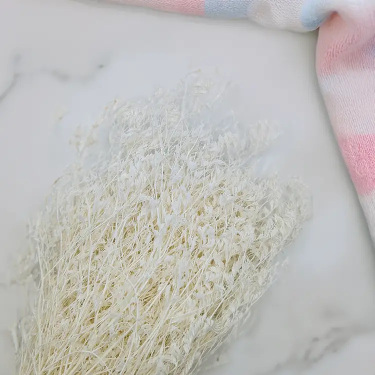 246b3f577be45c1be4d64e95c1acf82a