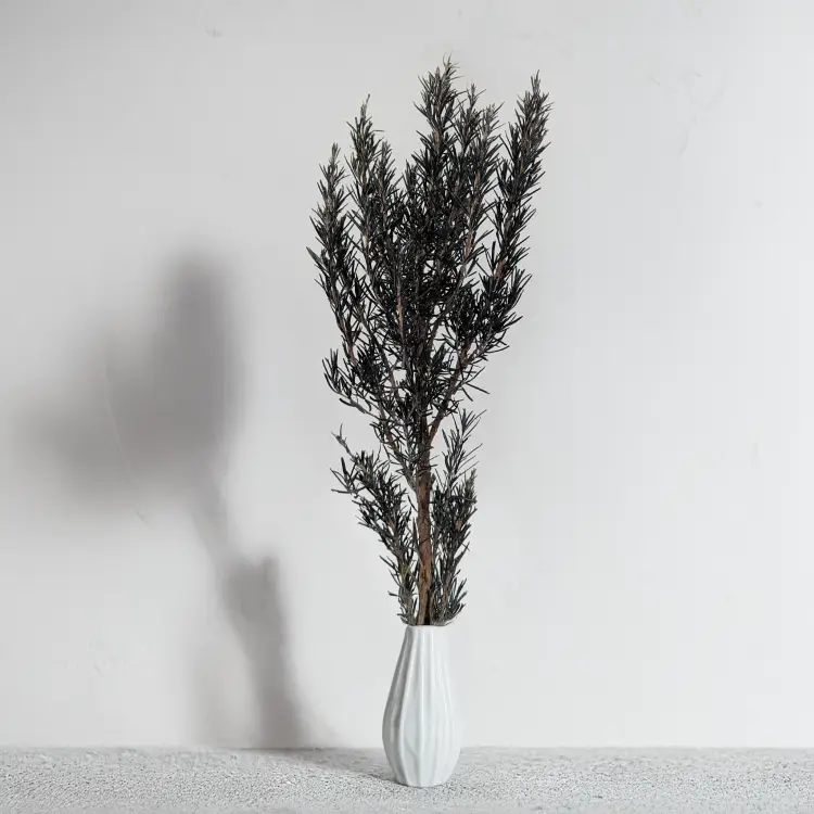 02e1c26039d382453e73d81602d3169d