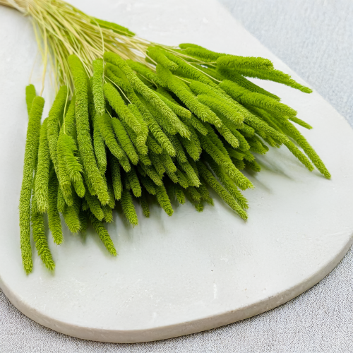 2b007a800dd10ce26af645d85729d407