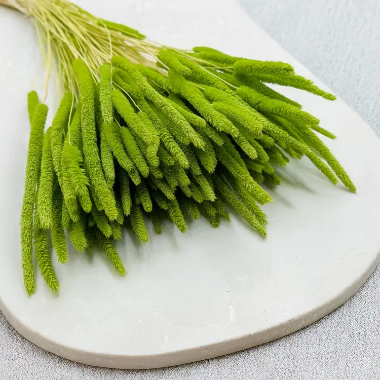 2b007a800dd10ce26af645d85729d407