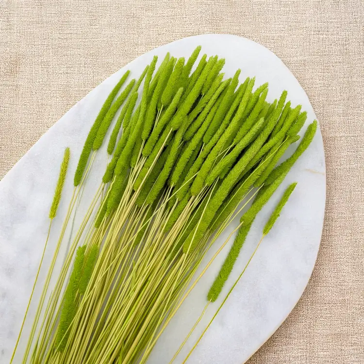 181a2c019933739f2358e427b90e35e9