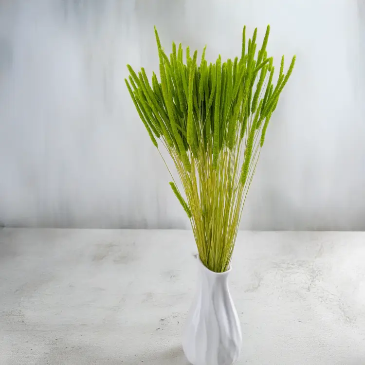 b54196485c442b28370a97ef2dc1cf0b