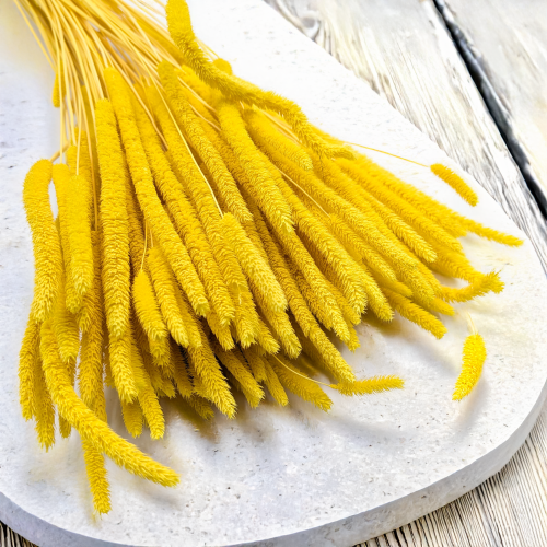 557df1b7faf55671486f886ece0d72e3