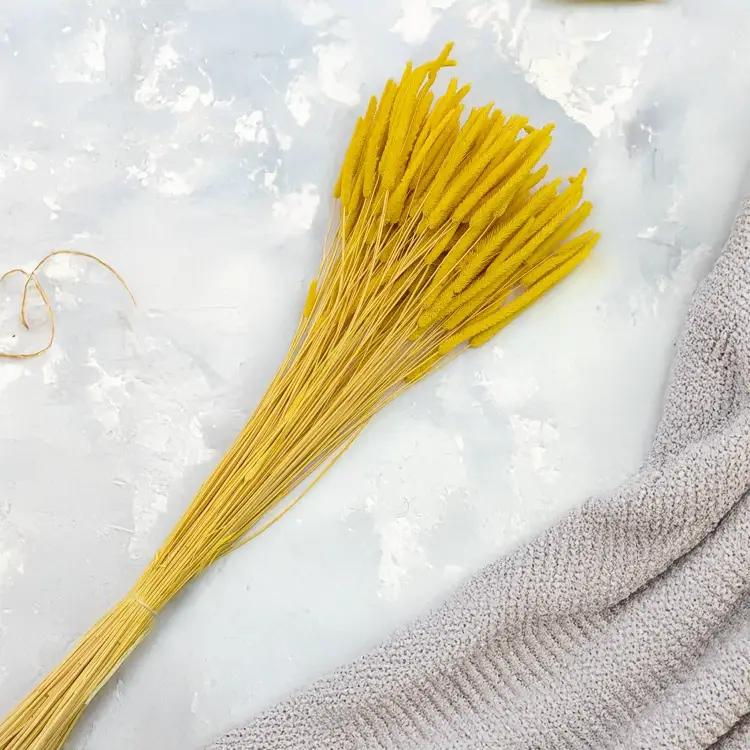 687b3bc7bab79c954befe38faf5fbb86