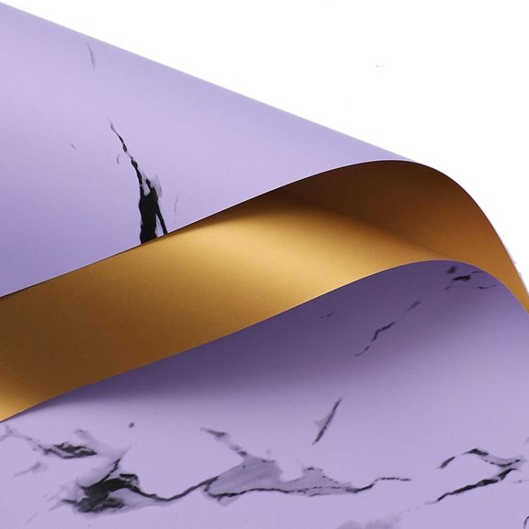 767fb8356fe02c256399e082f2b0db7a