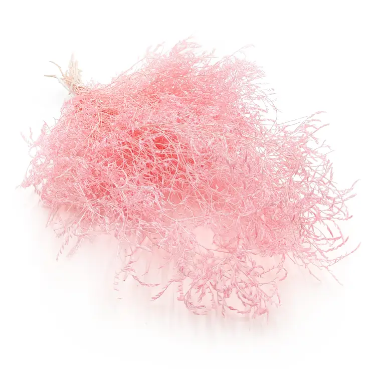 7a5fd6640af528d590717f32420ee90c