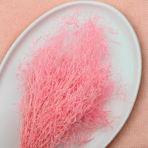 377537bbf9379d2500f14d6c04076f14