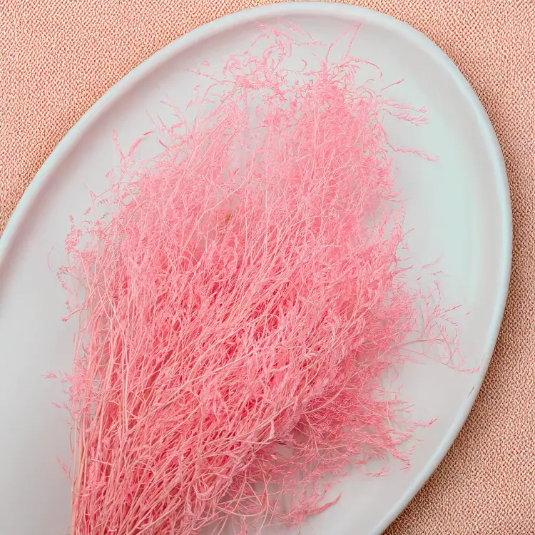 377537bbf9379d2500f14d6c04076f14