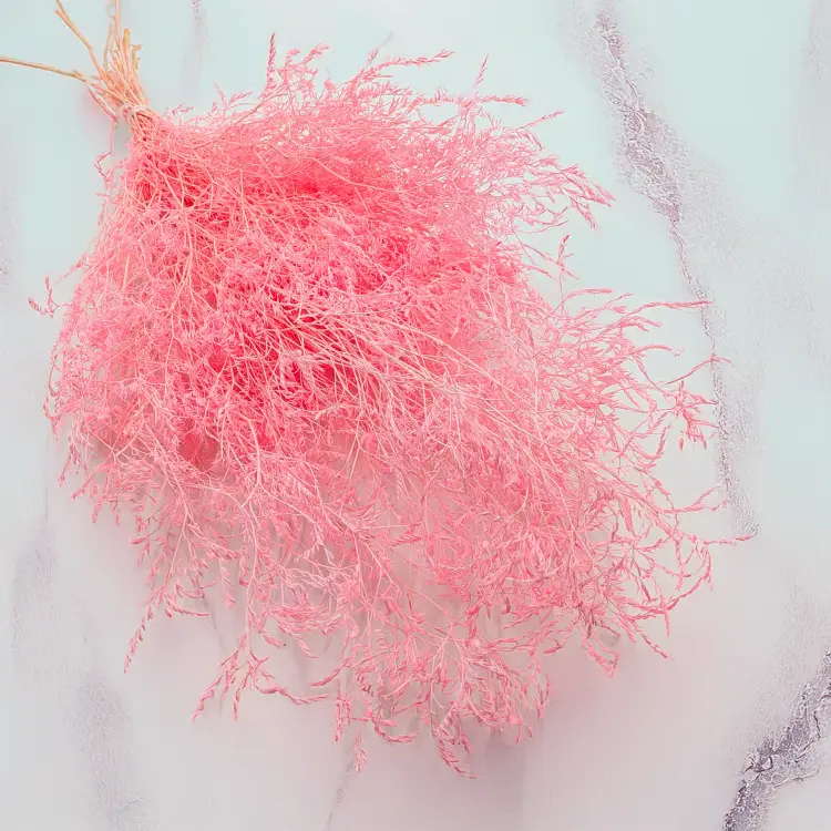 f4f3abedaaf3a0763e3e716b1ed75df8