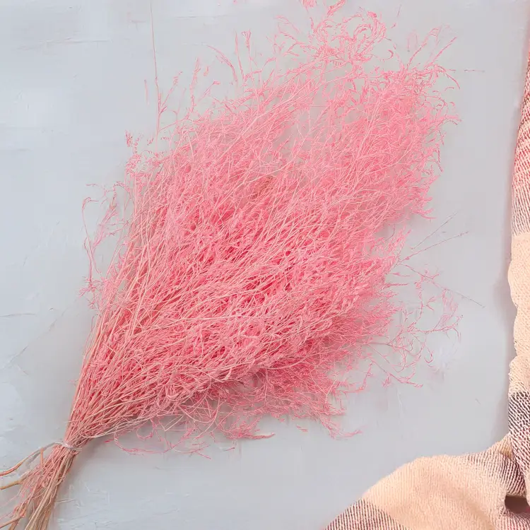 449d154338f5d245f5e12f1093d60372